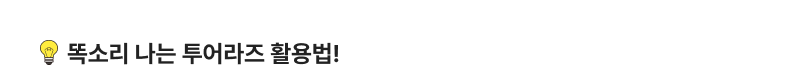똑소리 나는 투어라즈 활용법!