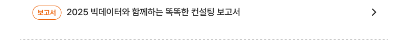 [보고서] 2025 빅데이터와 함께하는 똑똑한 컨설팅 보고서